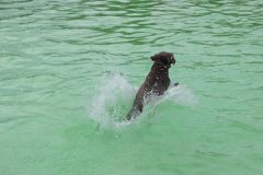 IMG_6518