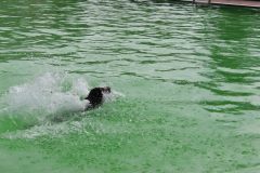 IMG_6619