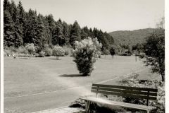 Waldfriedhof-scaled