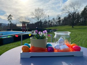 Ostereiersuche 1 - 22.03. (13:30 - 14:00 Uhr)